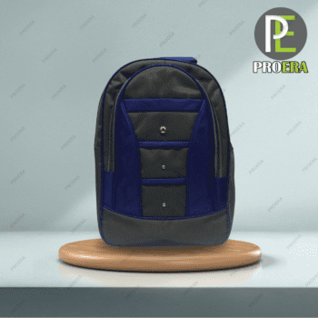 Blue And Grey School Backpack Manufacturer in Delhi