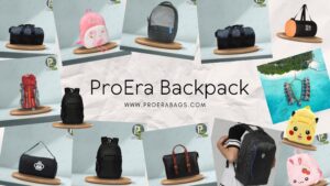 ProEra BackPack, Bags Manufacturer in Delhi