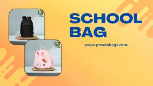 College Bag, School Bag Manufacturer in Delhi