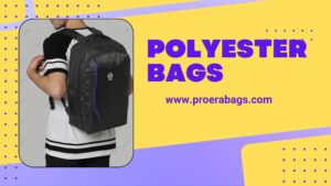 Best Polyester Bag Manufacturer in Delhi